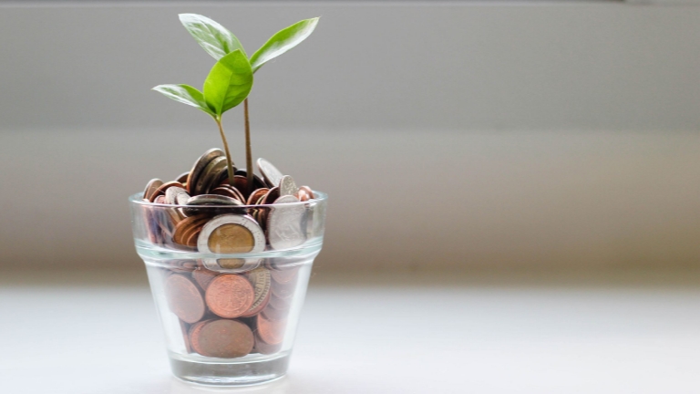 Glass filled with coins and a sprouting plant, illustrating the potential of high-yield interest in an HSA account.