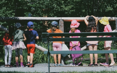 Smart Savings for Summer Camps: A Guide to Dependent Care FSAs