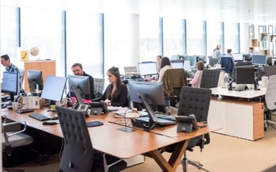 Employees working in an open-plan office, illustrating HIPAA compliance and secure handling of sensitive workplace information.